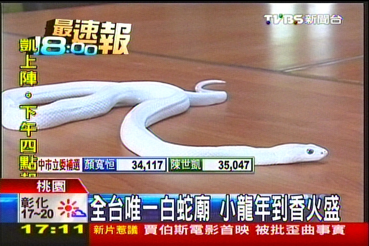 全台唯一白蛇廟　小龍年到香火盛