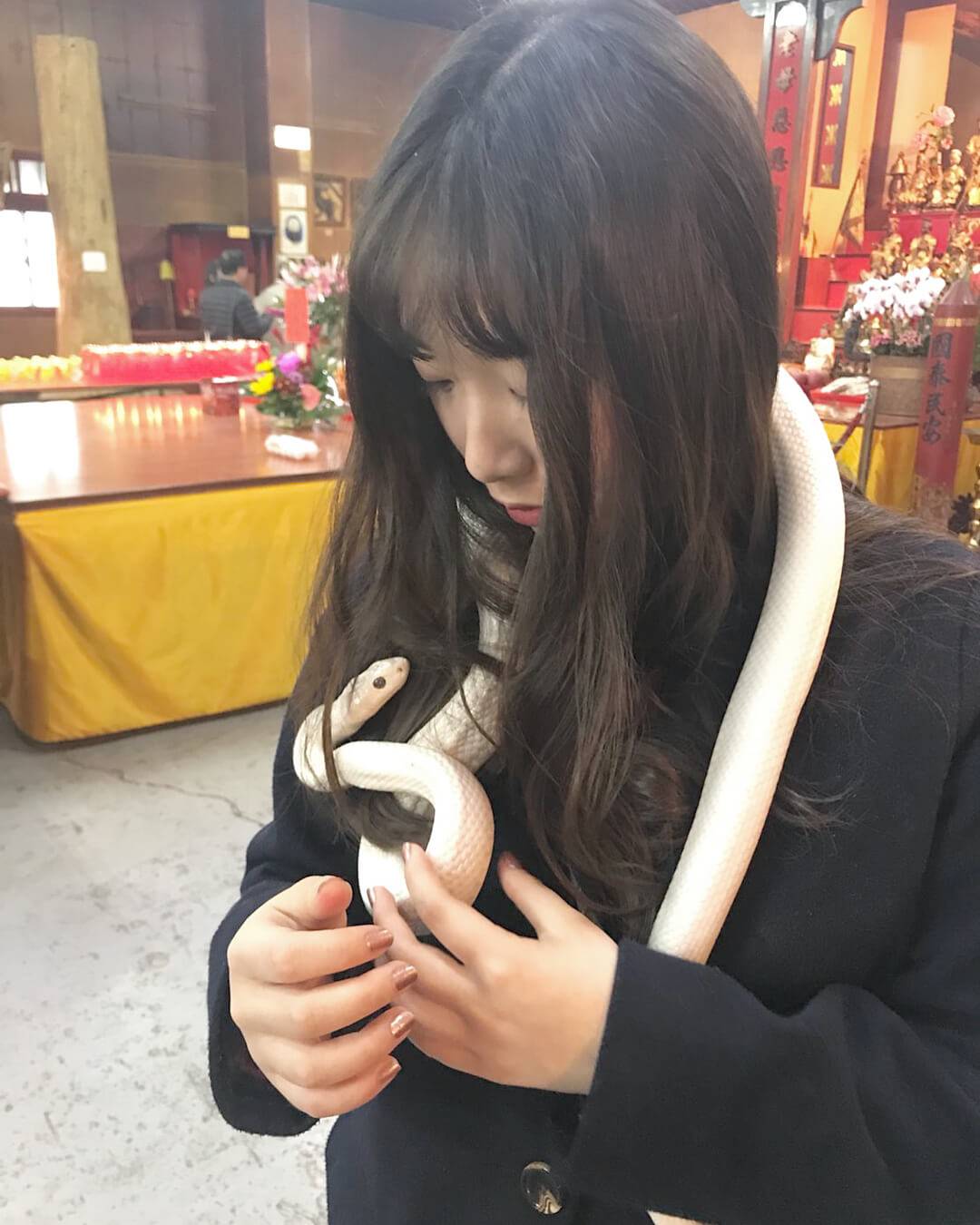 全台特色廟宇｜靈蛇獻瑞！應景迎蛇年，蛇年走春景點推薦